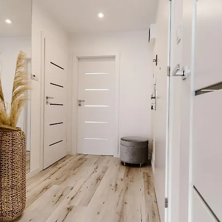 Apartament Forest
